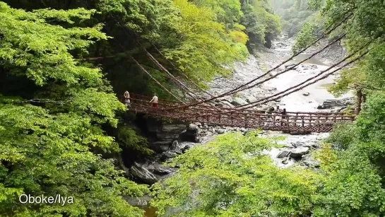 Shikoku　【Discover the spirit of Japan】