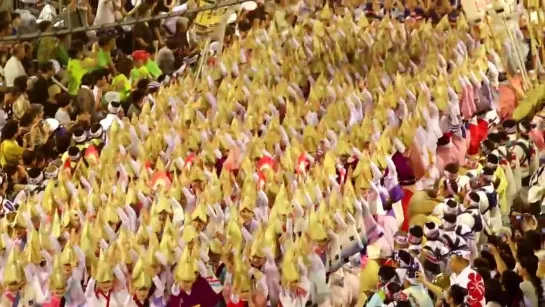 Awa-Odori　【Discover the spirit of Japan】