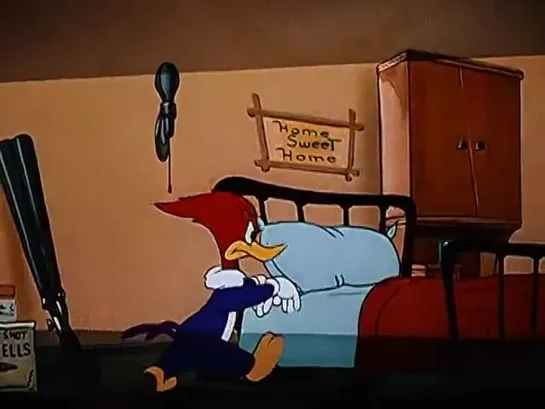 Дятел Вуди (Woody Woodpecker) - Кукушка (23 Серия)