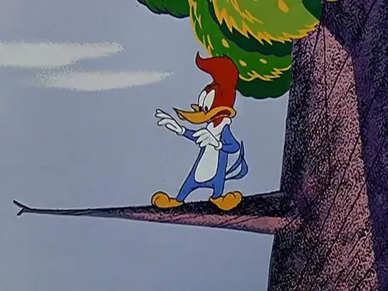 Дятел Вуди (Woody Woodpecker) - Вуди встречается с Дейви Ежиком (74 Серия)