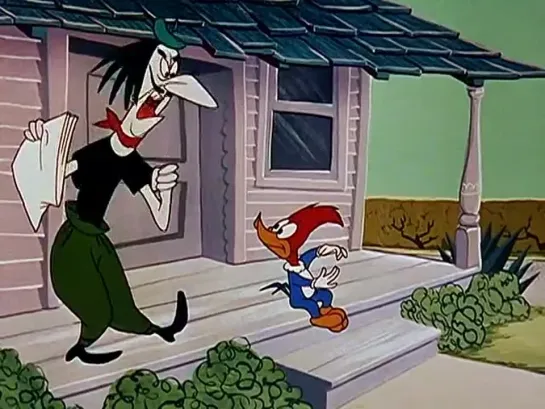 Дятел Вуди (Woody Woodpecker) - Цветы и художество (73 Серия)