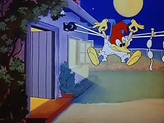 Дятел Вуди (Woody Woodpecker) - Полька для Вуди (38 Серия)