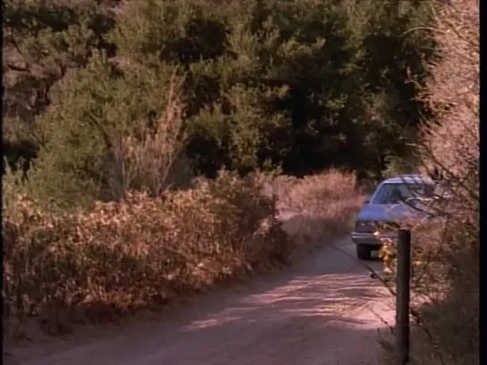 [M-KV2501] The Secret World of Alex Mack 1x13 (13) Road Trip [DVDRemux]