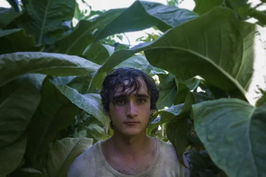 Lazzaro felice (2018) dir. Alice Rohrwacher / Счастливый Лазарь (2018) Режиссер: Аличе Рорвахер