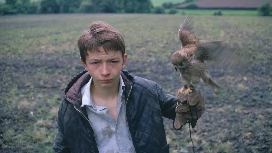 Kes (1969) dir. Ken Loach / Кес (1969) Режиссер: Кен Лоуч