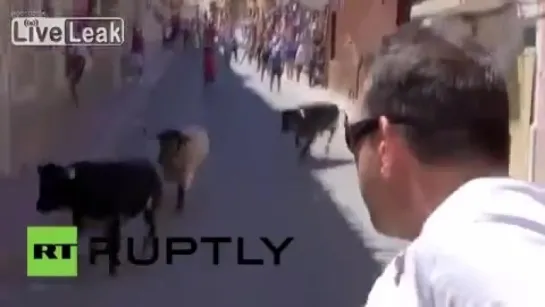 LiveLeak com Spain Two mauled in Running of the Bull practice