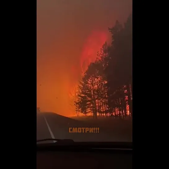 Лесные пожары в Тюменской области