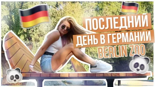 Berlin Zoo - ПОСЛЕДНИЙ ДЕНЬ В ГЕРМАНИИ