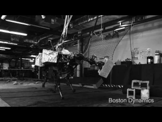 Робота BigDog от BostonDynamics оснастили рукой-манипулятором