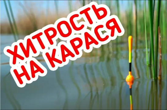 Рыбалка НА КАРАСЯ! Рвём красного и КАРАСЬ ДУРЕЕТ