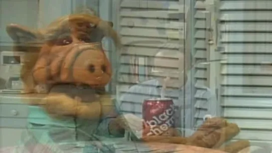 Alf - S04E15