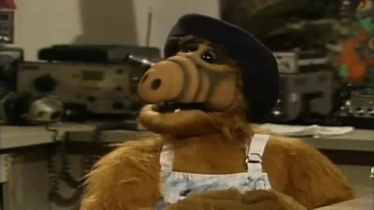 Alf - S04E16