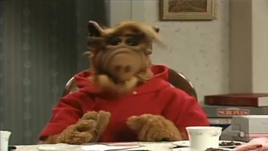 Alf - S04E19