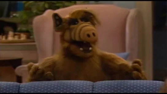 Alf - S02E04