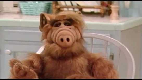 Alf - S01E24