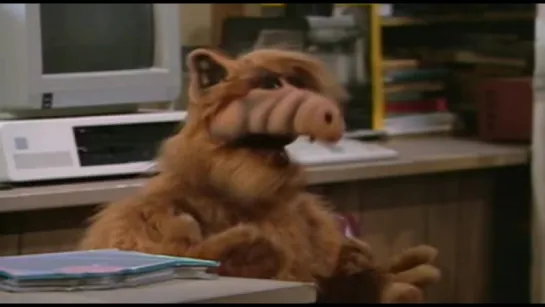 Alf - S01E19