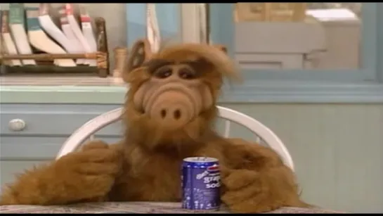 Alf - S01E15