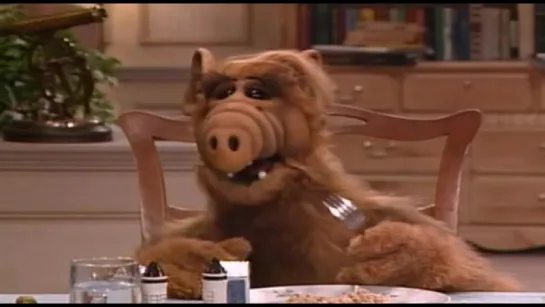 Alf - S01E11