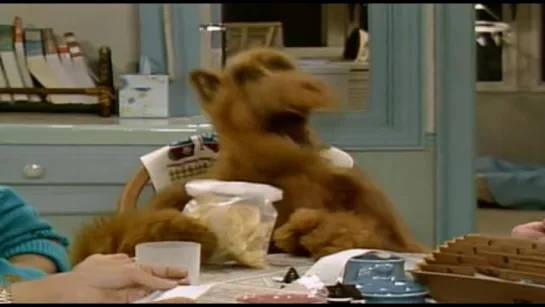 Alf - S01E05