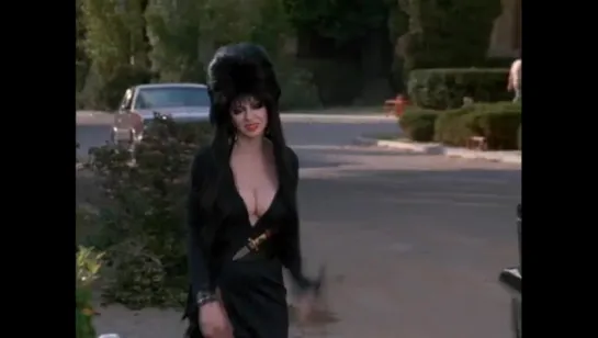 Эльвира: Повелительница тьмы / Elvira: Mistress of the Dark (1988)