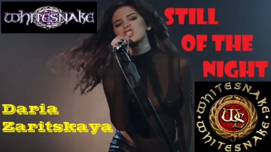 Whitesnake - Still Of The Night (cover by SershenZaritskaya)