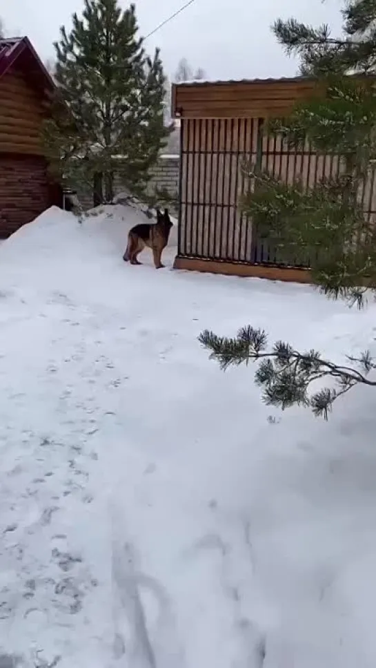 Видео от Кавказский Переулок