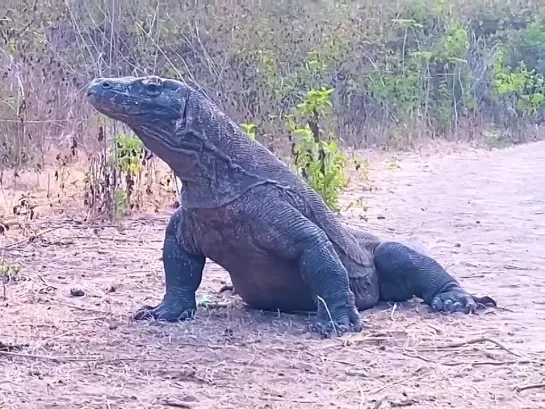 Видео от Кавказский Переулок