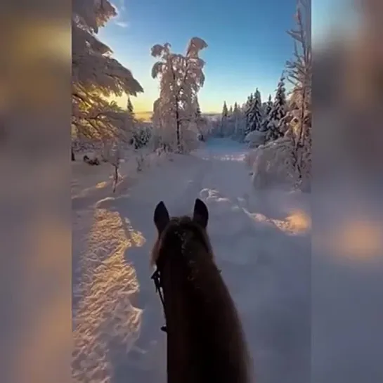 Видео от Кавказский Переулок