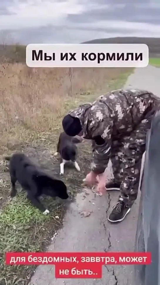 Видео от Кавказский Переулок