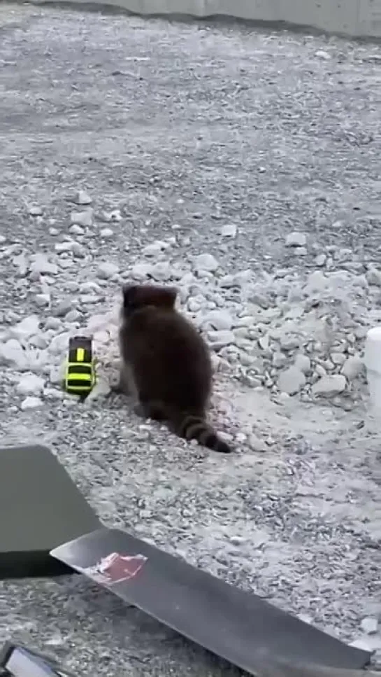 Видео от Кавказский Переулок