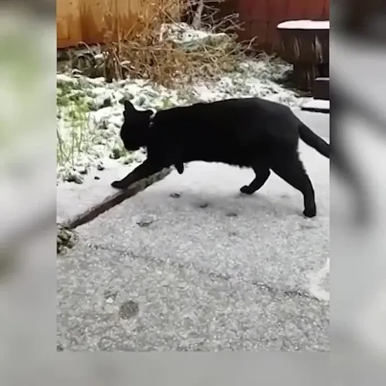 Видео от Кавказский Переулок