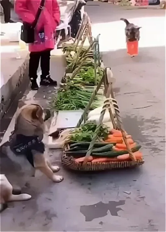 Видео от Кавказский Переулок