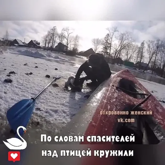 Видео от Кавказский Переулок