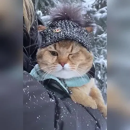 Видео от Кавказский Переулок