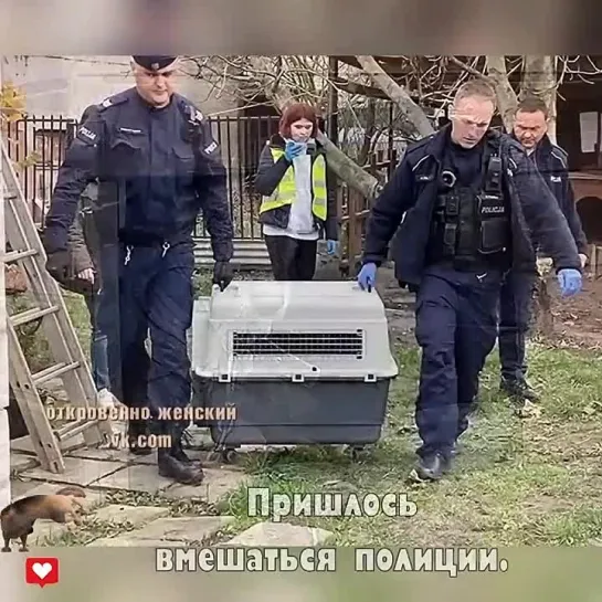 Видео от Кавказский Переулок