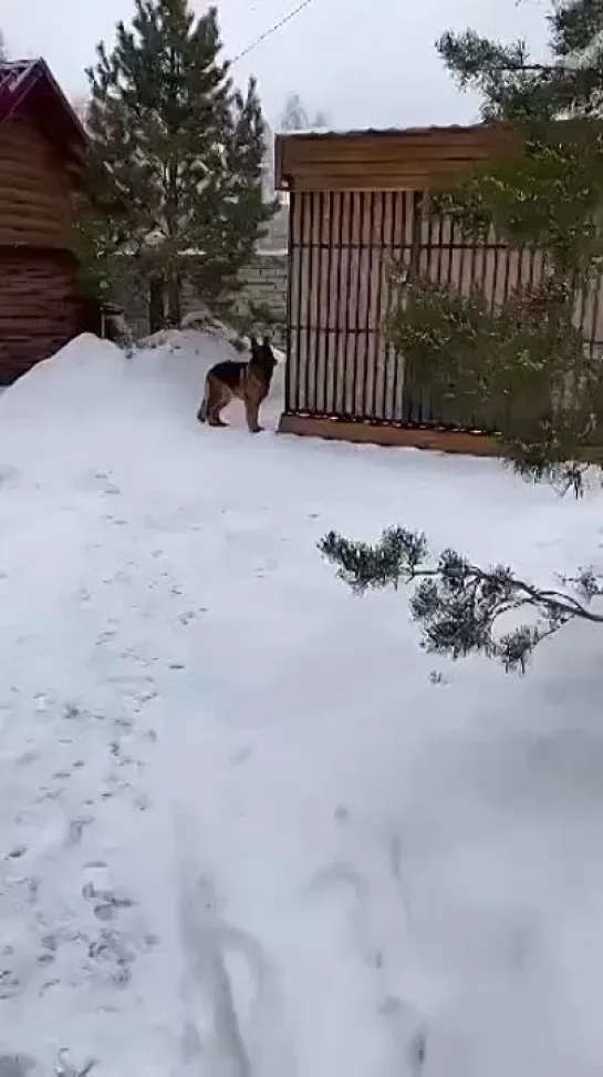 Видео от Кавказский Переулок