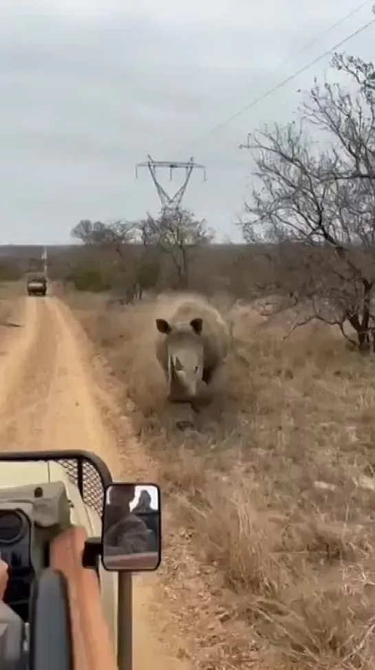 Видео от Кавказский Переулок