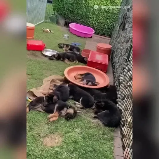 Видео от Кавказский Переулок