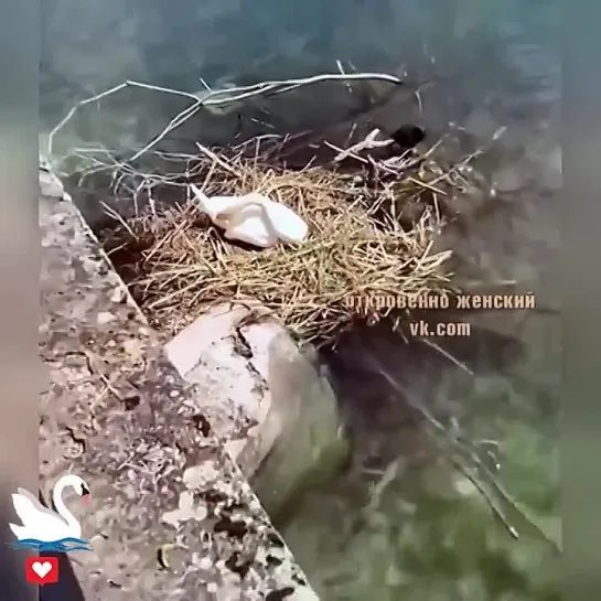 Видео от Кавказский Переулок