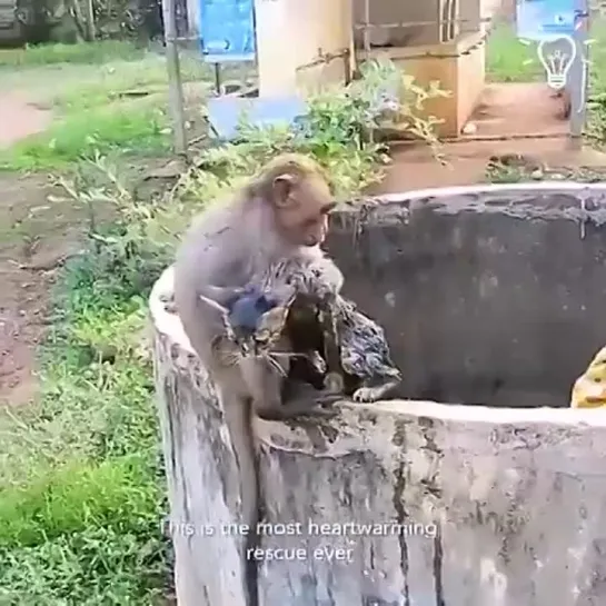 Видео от Кавказский Переулок