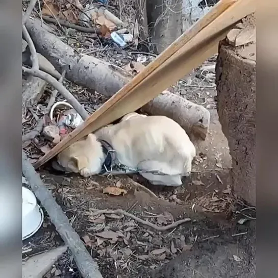 Видео от Кавказский Переулок