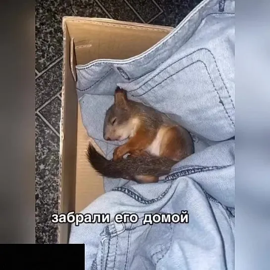 Видео от Кавказский Переулок