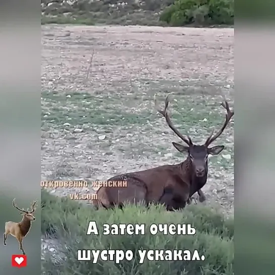 Видео от Кавказский Переулок