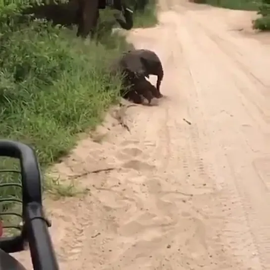 Видео от Кавказский Переулок