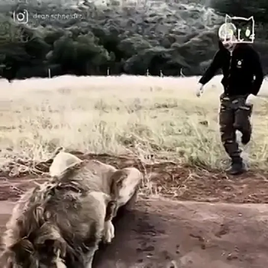 Видео от Кавказский Переулок