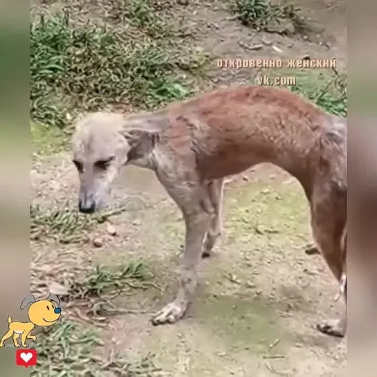 Видео от Кавказский Переулок