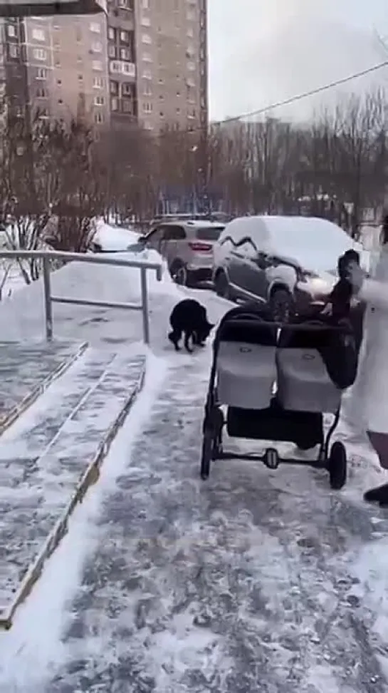 Видео от Кавказский Переулок