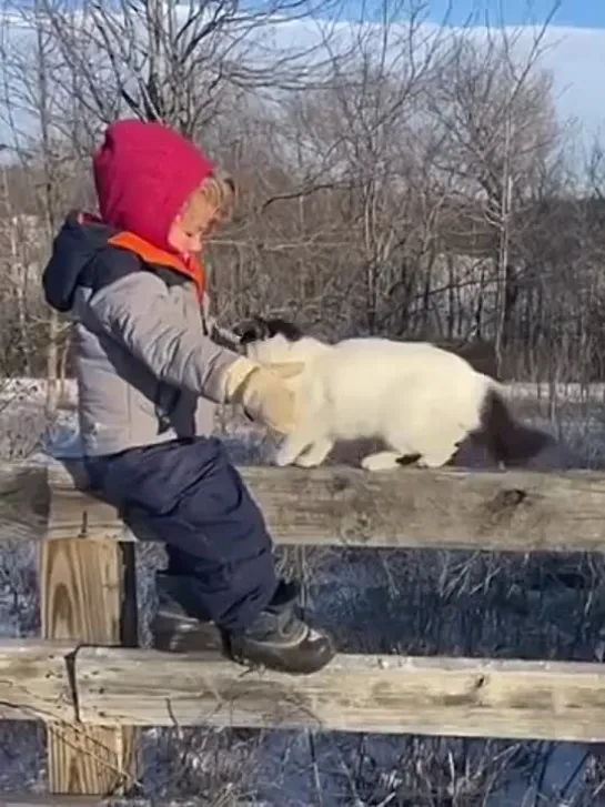 Видео от Кавказский Переулок