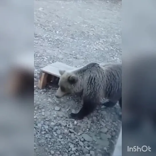 Видео от Кавказский Переулок