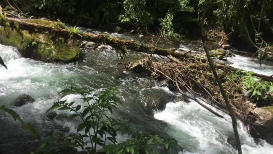 Peace Lodge, La Paz Waterfall Gard